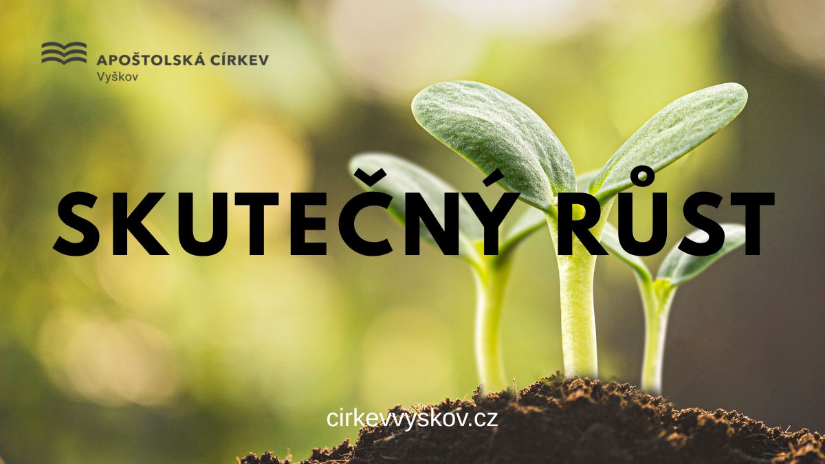 skutecny_rust1.jpg